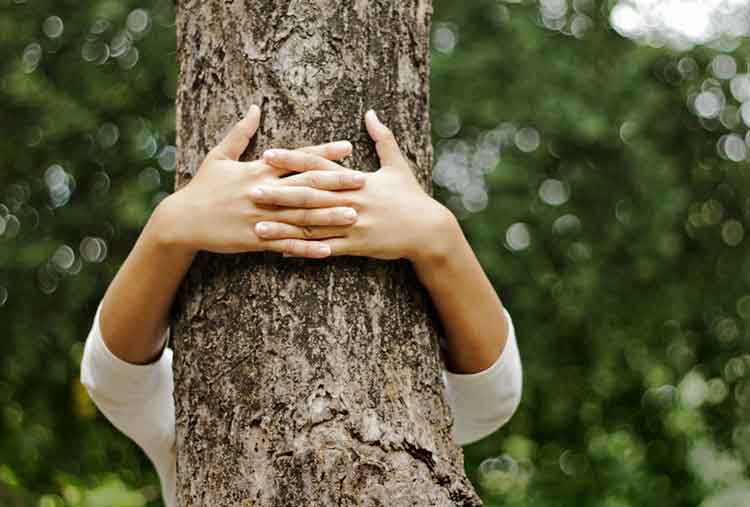 Tree roots impact on crawl spaces