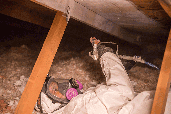 Crawl Pros professional performing a mold removal by soda blasting the crawl space