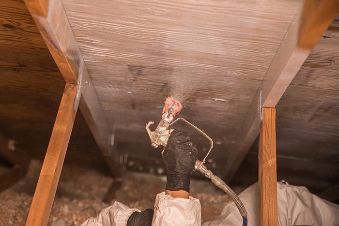 Crawl Pros professional spraying a crawl space to remove mold and protect for the future