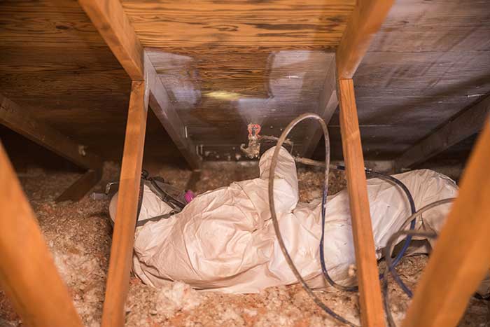 Crawl Pros professional performing a mold removal service in a crawl space