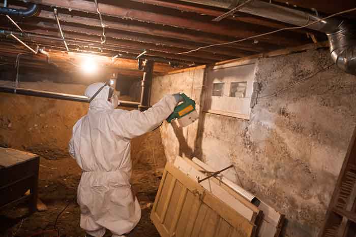 Crawl Pros professional removing mold growing in a crawl space