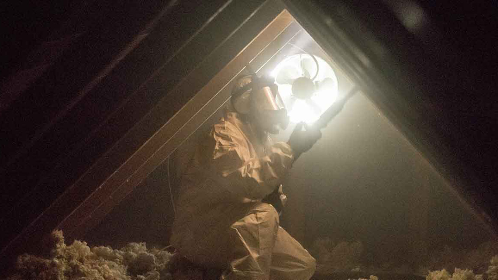 Crawl Pros professional performing an attic mold remediation