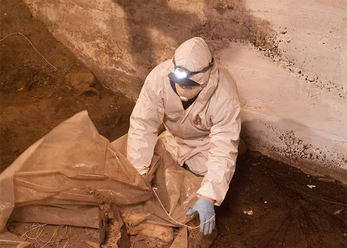 Crawl Pros professional removing old material from a crawl space