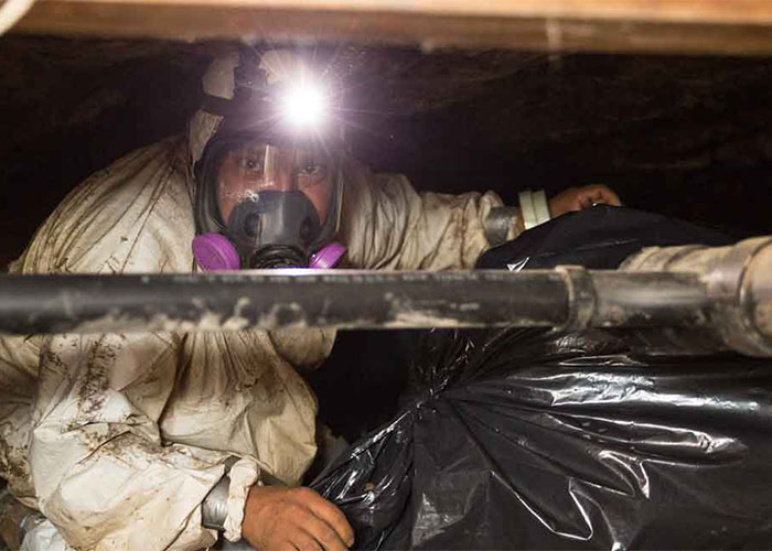 Crawl Pros professional in a crawl psace during a cleanout