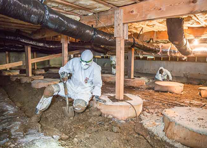Crawl Pros professionals performing a water damage service in a crawl space