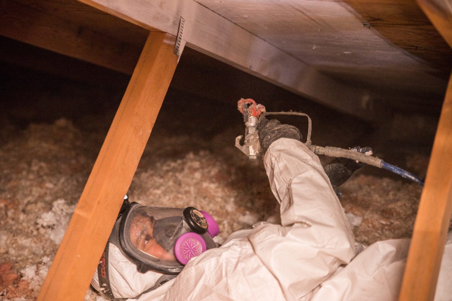 Crawl Pros professional performing a mold removal service in a crawl space in Bellevue