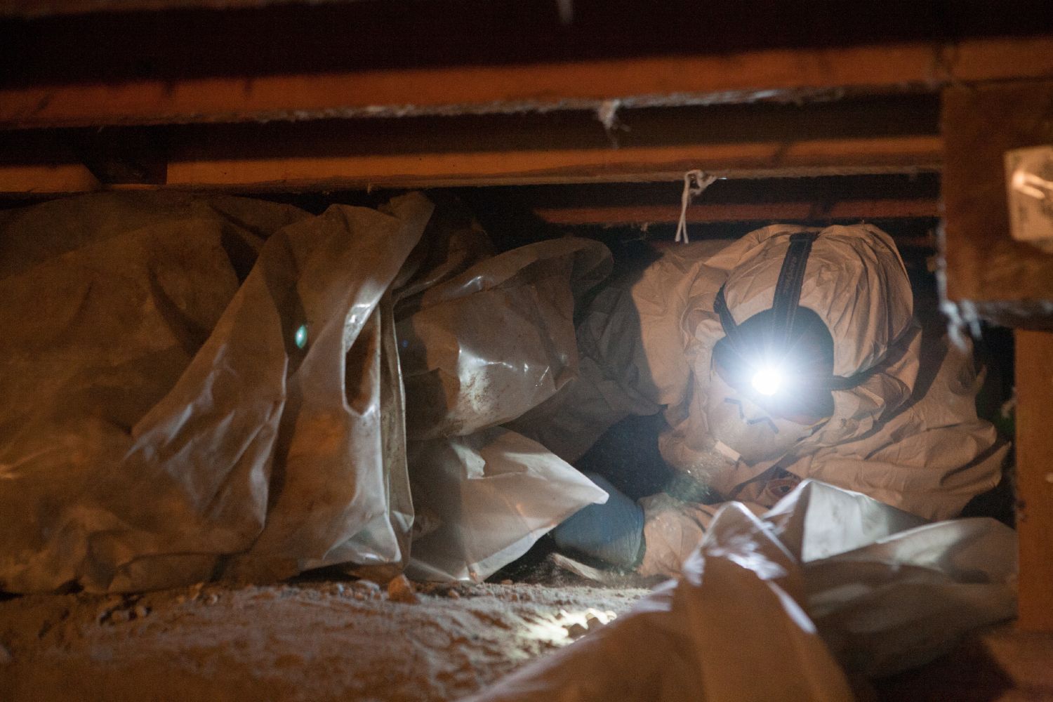 Crawl Pros professional performing a crawl space cleanout in Kirkland, WA