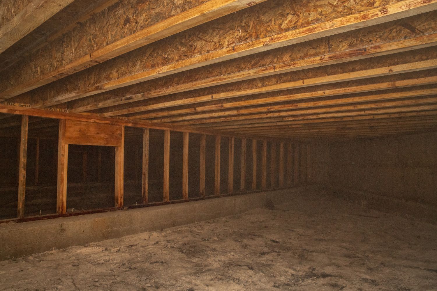 Crawl space in need of mold removal